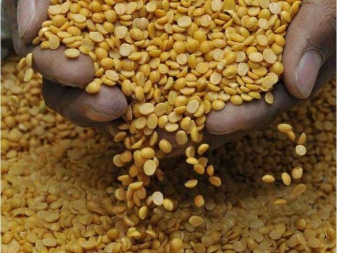 Traders angry over 'limited storage' of pulses | डाळींची 'मर्यादित साठवणूक' निर्णयाविरोधात व्यापाऱ्यांमध्ये तीव्र संताप! Traders angry over 'limited storage' of pulses | डाळींची 'मर्यादित साठवणूक' निर्णयाविरोधात व्यापाऱ्यांमध्ये तीव्र संताप!