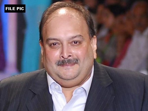 Mehul Choksi: the Indian intelligence agencies tried to kidnap me, Mehul Chokshi's big secret blast |  Mehul Choksi: "भारतीय तपास यंत्रणांनी माझ्या अपहरणाचा प्रयत्न केला", मेहूल चोक्शीचा मोठा गौप्यस्फोट Mehul Choksi: the Indian intelligence agencies tried to kidnap me, Mehul Chokshi's big secret blast |  Mehul Choksi: "भारतीय तपास यंत्रणांनी माझ्या अपहरणाचा प्रयत्न केला", मेहूल चोक्शीचा मोठा गौप्यस्फोट