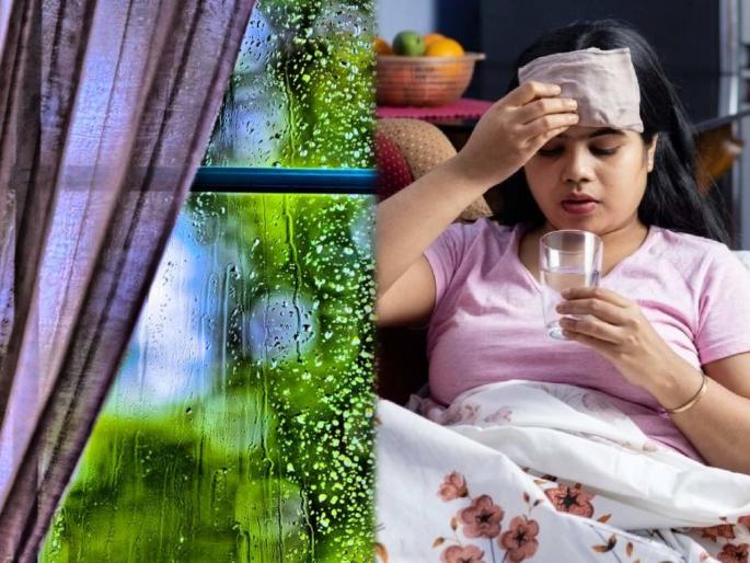 Health Tips : How to prevent from cough cold and flu in rainy season | Health Tips : ENT तज्ज्ञांनी सांगितला पावसाळ्यात सर्दी- खोकल्याला लांब ठेवण्याचा उपाय; वेळीच तब्येत सांभाळा
