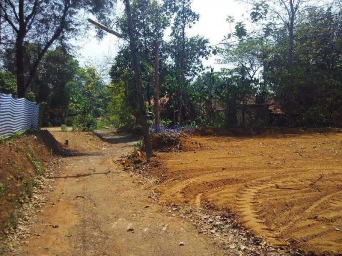 The names of 928 farmers were missing from the 7/12 Utara | धक्कादायक! सातबारा उताऱ्यावरून गहाळ झाली 928 शेतकऱ्यांची नावे The names of 928 farmers were missing from the 7/12 Utara | धक्कादायक! सातबारा उताऱ्यावरून गहाळ झाली 928 शेतकऱ्यांची नावे