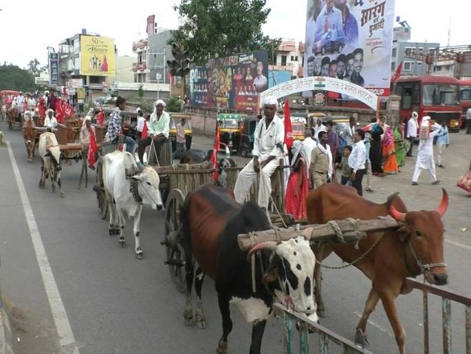 Krantidin Shetkari Kamgar Paksha's bullock cart front in Ambajogai | अंबाजोगाईत क्रांतिदिनी शेतकरी कामगार पक्षाचा बैलगाडी मोर्चा  Krantidin Shetkari Kamgar Paksha's bullock cart front in Ambajogai | अंबाजोगाईत क्रांतिदिनी शेतकरी कामगार पक्षाचा बैलगाडी मोर्चा