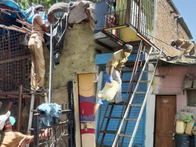 World Mosquito Day: 47,000 malaria, dengue mosquito destroyed; Pesticide department's clean-up operation begins | World Mosquito Day : मलेरिया, डेंग्यू डासांचे ४७ हजार अड्डे नष्ट; कीटकनाशक विभागाची सफाई मोहीम सुरू 