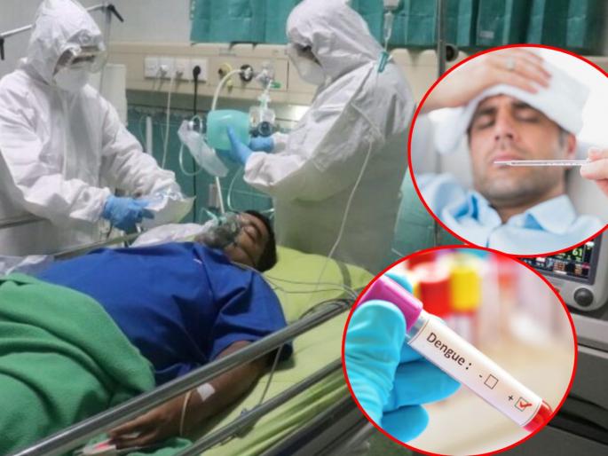 dengue fever kills several in uttar pradesh hospitals are full | कोरोनानंतर 'या' राज्यात डेंग्यूचा कहर! 13 जणांचा मृत्यू, रुग्णालयाबाहेर रुग्णांच्या रांगा; ब्लड बँकेत मोठी गर्दी dengue fever kills several in uttar pradesh hospitals are full | कोरोनानंतर 'या' राज्यात डेंग्यूचा कहर! 13 जणांचा मृत्यू, रुग्णालयाबाहेर रुग्णांच्या रांगा; ब्लड बँकेत मोठी गर्दी