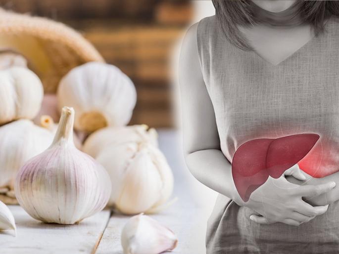 Health Tips : High amount garlic can damage liver as per study and know its side effect | Health Tips : तुमचं लिव्हर खराब करू शकतो स्वयंपाकात लसणाचा अतिवापर; आयुर्वेदिक तज्ज्ञांचा सावधगिरीचा इशारा