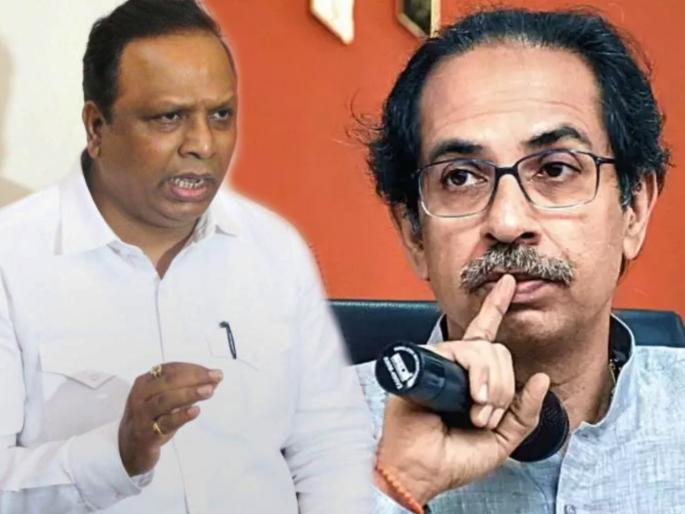 bjp ashish shelar criticised cm uddhav thackeray in jan ashirwad yatra at ratnagiri | “मुख्यमंत्री उद्धव ठाकरे हे महाराष्ट्रातील असहिष्णुतेचे जनक”; भाजपचे टीकास्त्र
