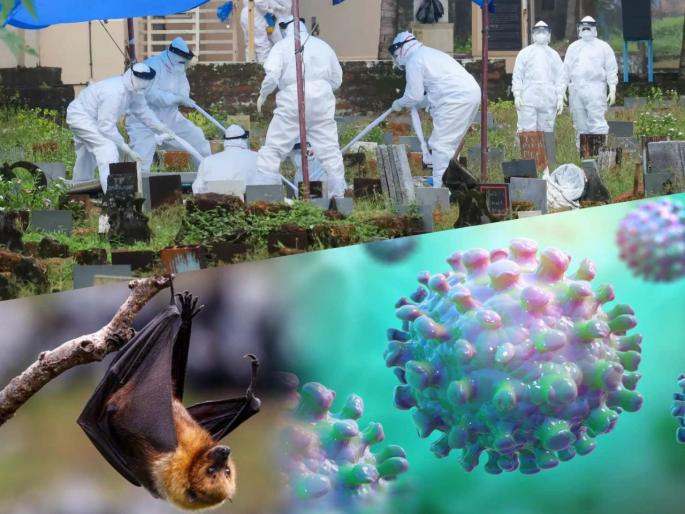 two more people found infected with nipah virus in kerala | Nipah Virus : धोका वाढला! कोरोनाच्या संकटात केरळमध्ये 'निपाह'ची दहशत; मुलाच्या मृत्यूनंतर दोघांमध्ये लक्षणं two more people found infected with nipah virus in kerala | Nipah Virus : धोका वाढला! कोरोनाच्या संकटात केरळमध्ये 'निपाह'ची दहशत; मुलाच्या मृत्यूनंतर दोघांमध्ये लक्षणं