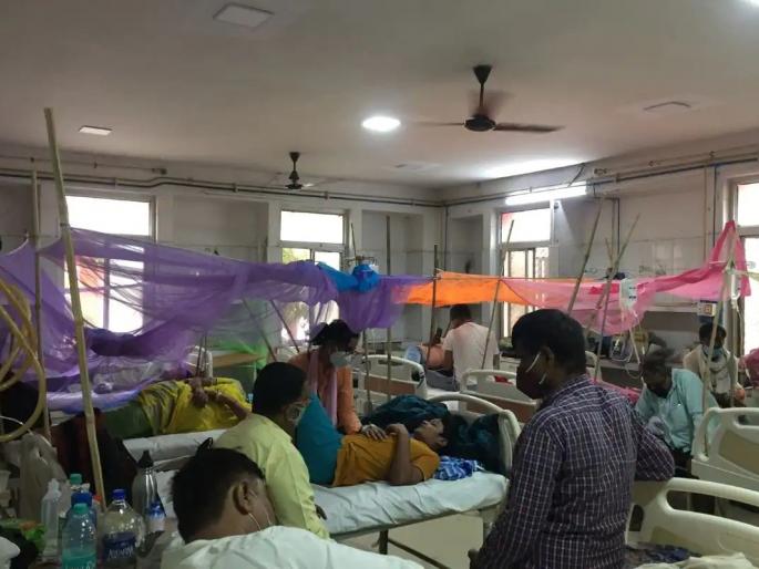 These two diseases related to dengue are more dangerous than dengue, death occurs in just one day | Dengue News: डेंग्यूपेक्षा अधिक धोकादायक आहेत डेंग्यूशी संबंधित हे दोन आजार, केवळ एका दिवसात होतोय मृत्यू These two diseases related to dengue are more dangerous than dengue, death occurs in just one day | Dengue News: डेंग्यूपेक्षा अधिक धोकादायक आहेत डेंग्यूशी संबंधित हे दोन आजार, केवळ एका दिवसात होतोय मृत्यू