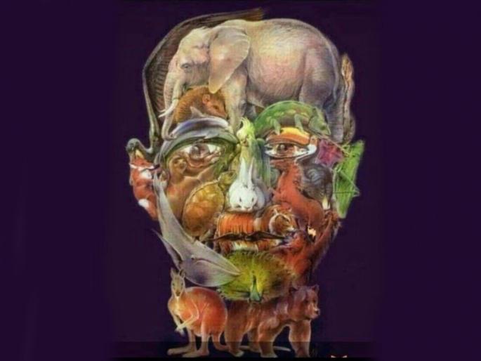 A photo is going viral on social media. Find the camel in this photo. | ढूंढते रह जाओगे! 'या' फोटोतील लपलेला उंट शोधून दाखवा; बघा तुम्हाला जमतंय का! A photo is going viral on social media. Find the camel in this photo. | ढूंढते रह जाओगे! 'या' फोटोतील लपलेला उंट शोधून दाखवा; बघा तुम्हाला जमतंय का!