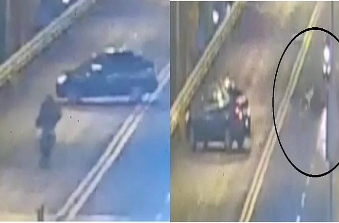 Video: Car dashes two wheeler on Lower Parel Bridge; Both died who were on bike | Video : लोअर परळ ब्रिजवर कारने अचानक युटर्न घेतल्याने झाला मोठा अपघात; दुचाकीवरील दोघांचाही मृत्यू Video: Car dashes two wheeler on Lower Parel Bridge; Both died who were on bike | Video : लोअर परळ ब्रिजवर कारने अचानक युटर्न घेतल्याने झाला मोठा अपघात; दुचाकीवरील दोघांचाही मृत्यू