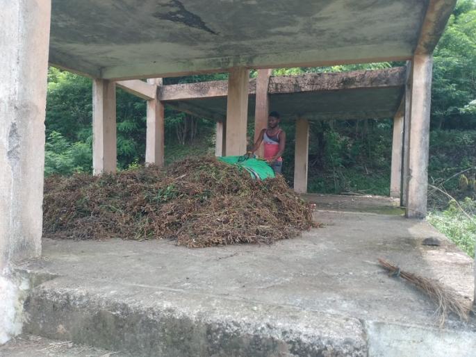 crematorium became boon to 'this' farmers; Lakhs worth of agricultural produce is protected from rains | 'या' शेतकऱ्यांना स्मशानभूमी ठरतेय वरदान; पावसापासून लाख मोलाच्या शेतमालाचे होतेय संरक्षण crematorium became boon to 'this' farmers; Lakhs worth of agricultural produce is protected from rains | 'या' शेतकऱ्यांना स्मशानभूमी ठरतेय वरदान; पावसापासून लाख मोलाच्या शेतमालाचे होतेय संरक्षण