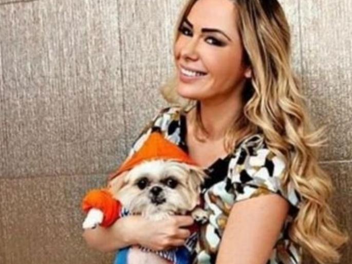 playboy model Ju Isen decides to give all her property worth 15 crores to her dog | हर कुत्ते के दिन आते है! तब्बल १५ कोटींचा मालक बनणार कुत्रा, सोबत आलिशान बंगला आणि घरही playboy model Ju Isen decides to give all her property worth 15 crores to her dog | हर कुत्ते के दिन आते है! तब्बल १५ कोटींचा मालक बनणार कुत्रा, सोबत आलिशान बंगला आणि घरही