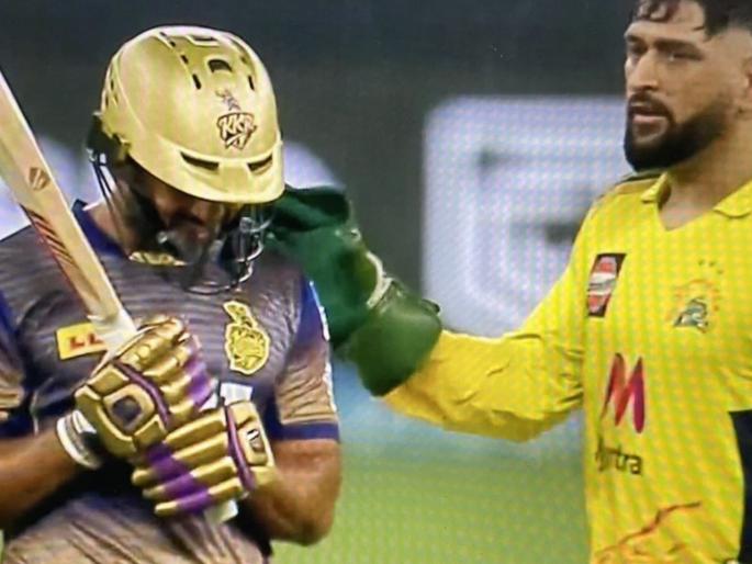 IPL 2021, CSK won Title : Ms Dhoni Appreciating Rahul Tripathi For Coming To Bat With Ankle Injury | MS Dhoni : महेंद्रसिंग धोनीनं थोपटली Rahul Tripathiची पाठ, कारण जाणून 'थाला'चा वाटेल अभिमान