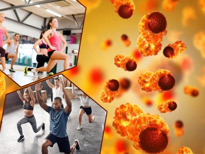 Five hours of physical activity per week may prevent some cancers: Study | कॅन्सर म्हणजे साक्षात मृत्यू! टाळायचा असेल तर किमान ५ तास व्यायाम करा, संशोधकांचा सल्ला Five hours of physical activity per week may prevent some cancers: Study | कॅन्सर म्हणजे साक्षात मृत्यू! टाळायचा असेल तर किमान ५ तास व्यायाम करा, संशोधकांचा सल्ला