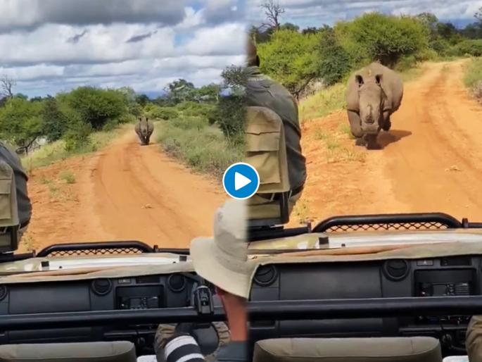 rhino chasing jeep in jungle shocking video goes viral on social media | खवळलेल्या गेंड्याला पाहुन पळण्याऐवजी तिथेच थांबले, सुरु झाला जीवाशी खेळ अन् मग rhino chasing jeep in jungle shocking video goes viral on social media | खवळलेल्या गेंड्याला पाहुन पळण्याऐवजी तिथेच थांबले, सुरु झाला जीवाशी खेळ अन् मग