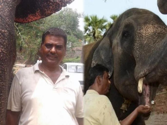 Crime News Patna Elephant man akhtar imam shot dead in day | हत्तीच्या नावावर कोट्यवधींची संपत्ती करणाऱ्या अख्तर इमाम यांची हत्या, हल्लेखोरांनी झाडल्या 8 गोळ्या Crime News Patna Elephant man akhtar imam shot dead in day | हत्तीच्या नावावर कोट्यवधींची संपत्ती करणाऱ्या अख्तर इमाम यांची हत्या, हल्लेखोरांनी झाडल्या 8 गोळ्या