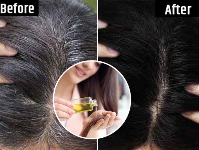 White, gray hair at a young age? Just put Bottle Gourd in the oil and apply it on the hair ... the hair will be dark and shiny | केस पांढरे व्हायला लागलेत, तेलात फक्त 'एक' गोष्ट टाका! लावा हे तेल, केस काळेभोर