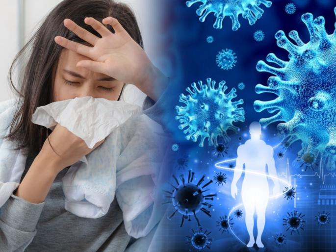 cold virus increases immunity against corona virus | साध्या सर्दी पडश्यामुळे कोरोनाविरुद्ध लढण्याची प्रतिकारशक्ती कमी होते, संशोधनात दावा