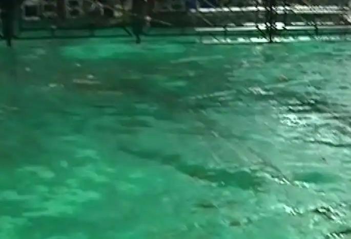 Marathi Sahitya Sammelan Nashik, The edge of controversy to the Sammelan | ...आता पावसाचे निमित्त ! Marathi Sahitya Sammelan Nashik, The edge of controversy to the Sammelan | ...आता पावसाचे निमित्त !