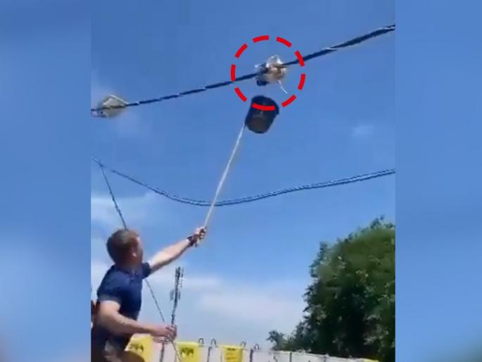 man saves kittens emotional video goes viral on social media | त्या तारेवर लटकलेल्या मांजरीच्या पिल्लांना असं वाचवलं 'या' तरुणाने, पाहुन डोळ्यात येईल पाणी man saves kittens emotional video goes viral on social media | त्या तारेवर लटकलेल्या मांजरीच्या पिल्लांना असं वाचवलं 'या' तरुणाने, पाहुन डोळ्यात येईल पाणी