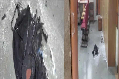 Explosion in the rohini court; Special Cell - NSG and forensic team reached the evacuated premises | कोर्टात स्फोट झाल्याने एकच खळबळ; स्‍पेशल सेल-NSG आणि फॉरेंसिक टीम पोहोचली अन् रिकामी केला परिसर