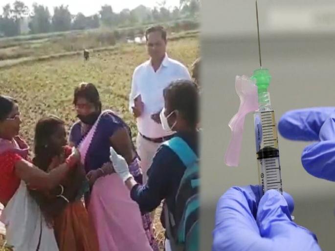 corona vaccine team seeing woman ran away from house forcibly applied in field video viral | Corona Vaccine : बाबो! कोरोना लस पाहताच 'ती' घाबरली, ओरडायलाच लागली अन् शेतात पळाली; मग झालं असं काही... corona vaccine team seeing woman ran away from house forcibly applied in field video viral | Corona Vaccine : बाबो! कोरोना लस पाहताच 'ती' घाबरली, ओरडायलाच लागली अन् शेतात पळाली; मग झालं असं काही...