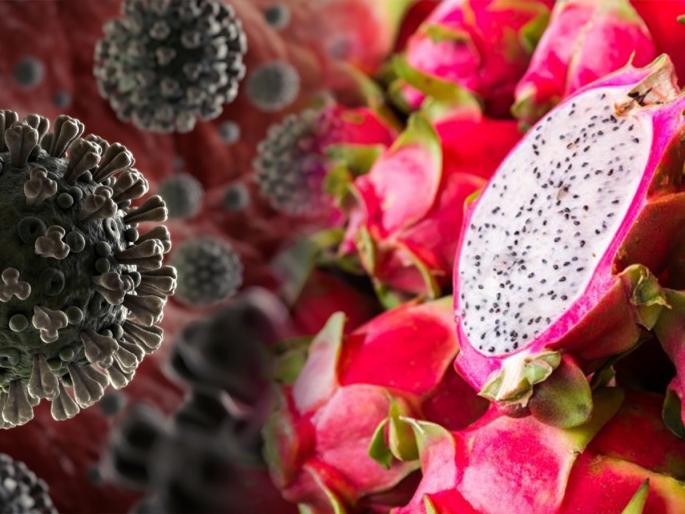 In China Corona virus found in dragon fruit, supermarkets in China have been closed | चिनी सुपरमार्केट झाले बंद, ड्रॅगनफ्रुटमध्ये कोरोना व्हायरस असल्याच्या चर्चेने घबराट, हे खरं की अफवा?