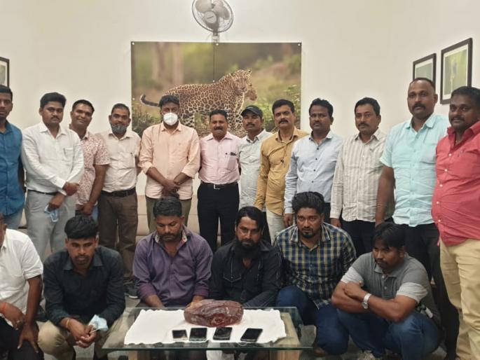 Crime News: Whale vomit worth Rs 3 crore seized in Kolhapur, gang of six arrested in Sangli | Crime News: सव्वा तीन कोटींची व्हेल माशांची उलटी कोल्हापुरात जप्त, सांगलीतील सहा जणांची टोळी जेरबंद Crime News: Whale vomit worth Rs 3 crore seized in Kolhapur, gang of six arrested in Sangli | Crime News: सव्वा तीन कोटींची व्हेल माशांची उलटी कोल्हापुरात जप्त, सांगलीतील सहा जणांची टोळी जेरबंद