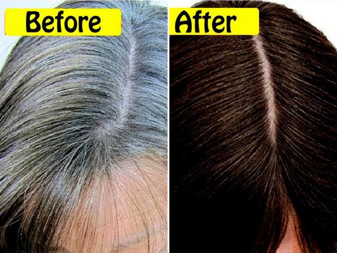 How to get black hair naturally : Hair care tips benefits of henna mehndi for premature greying hair fall | How to get black hair naturally : केस फार पांढरे झालेत? मेहेंदी लावताना फक्त १ गोष्ट मिसळा अन् मिळवा दाट, काळेभोर केस