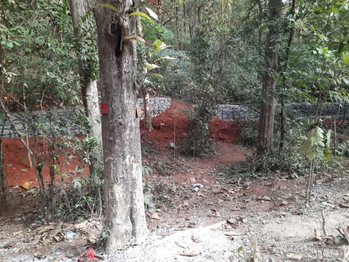 Forest department squanders funds; Protective walls in Amboli Ghat when not needed | नियोजनाअभावी निधीची वनविभागाकडून उधळपट्टी; गरज नसताना आंबोली घाटात संरक्षक कठडे Forest department squanders funds; Protective walls in Amboli Ghat when not needed | नियोजनाअभावी निधीची वनविभागाकडून उधळपट्टी; गरज नसताना आंबोली घाटात संरक्षक कठडे