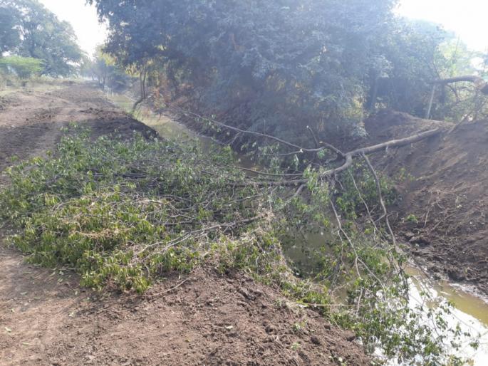 The food chain of the animals in Himayatbagh is breaking; The condition of birds and animals critical due to deforestation | हिमायतबागेतील प्राण्यांची अन्नसाखळी तुटतेय; वृक्षतोडीमुळे पक्षी, प्राणी संकटात The food chain of the animals in Himayatbagh is breaking; The condition of birds and animals critical due to deforestation | हिमायतबागेतील प्राण्यांची अन्नसाखळी तुटतेय; वृक्षतोडीमुळे पक्षी, प्राणी संकटात