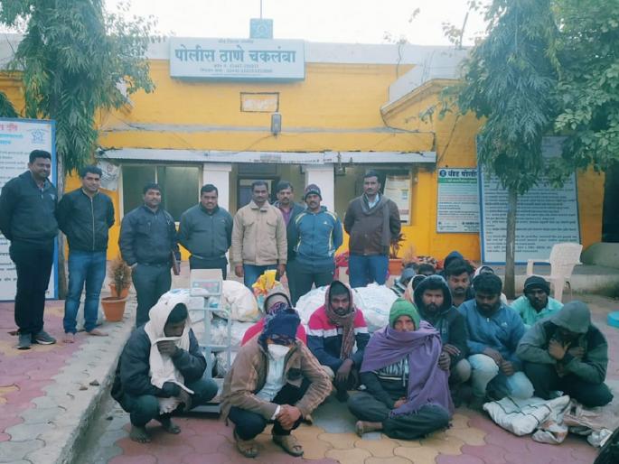 Thieves sandalwood adda in farm, police seize 328 kg of sandalwood, 17 arrested | चंदन चोरांनी टाकला शेतात अड्डा, पोलिसांच्या धाडीत ३२८ किलो चंदनाचा गाभा जप्त, १७ जण ताब्यात Thieves sandalwood adda in farm, police seize 328 kg of sandalwood, 17 arrested | चंदन चोरांनी टाकला शेतात अड्डा, पोलिसांच्या धाडीत ३२८ किलो चंदनाचा गाभा जप्त, १७ जण ताब्यात