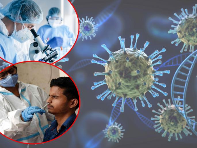 Omicron Variant corona omicron survives over 21 hours on skin more than 8 days on plastic study | Omicron Variant : बापरे! 'त्वचेवर 21 तास तर प्लास्टिकवर तब्बल 8 दिवस टिकू शकतो ओमायक्रॉन'; धडकी भरवणारा दावा Omicron Variant corona omicron survives over 21 hours on skin more than 8 days on plastic study | Omicron Variant : बापरे! 'त्वचेवर 21 तास तर प्लास्टिकवर तब्बल 8 दिवस टिकू शकतो ओमायक्रॉन'; धडकी भरवणारा दावा