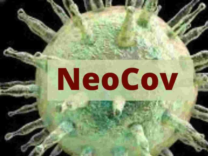 Coronavirus: Don't be afraid of Neocov: Task Force appeal | Coronavirus: नियोकोवला घाबरू नका : टास्क फोर्सचे आवाहन Coronavirus: Don't be afraid of Neocov: Task Force appeal | Coronavirus: नियोकोवला घाबरू नका : टास्क फोर्सचे आवाहन