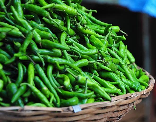 green chilli Became more expensive than petrol-diesel | मिरचीचा तोरा वाढला; पेट्रोल-डिझेलपेक्षा झाली महाग; जाणून घ्या, 'या' भाज्यांचा दर green chilli Became more expensive than petrol-diesel | मिरचीचा तोरा वाढला; पेट्रोल-डिझेलपेक्षा झाली महाग; जाणून घ्या, 'या' भाज्यांचा दर
