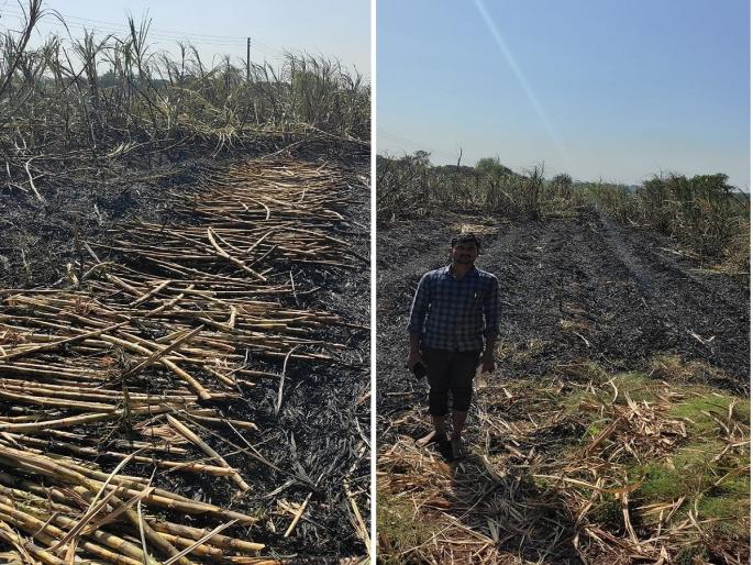 25 acre sugarcane fire due to short circuit; Ashes of farmers' dreams | शाॅर्टसर्किटमुळे २५ एकवरील उसाला आग; शेतकऱ्यांच्या स्वप्नांची झाली राख 25 acre sugarcane fire due to short circuit; Ashes of farmers' dreams | शाॅर्टसर्किटमुळे २५ एकवरील उसाला आग; शेतकऱ्यांच्या स्वप्नांची झाली राख