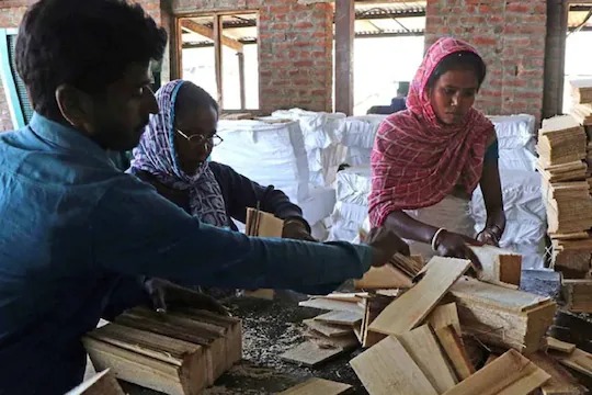 ookhu village of pulwama in kashmir is called as pencil village | अरे व्वा! देशात 'या' ठिकाणी वसलंय 'पेन्सिल व्हिलेज'; जाणून घ्या, नावामागची रंजक गोष्ट
