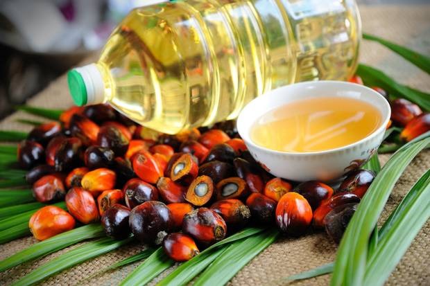 Inflation: A liter of palm oil in Indonesia costs Rs 22,000, will have a big impact on India | Inflation: इंडोनेशियात एक लीटर पाम तेलाची किंमत २२ हजार रुपयांवर, भारतावरही होणार मोठा परिणाम  Inflation: A liter of palm oil in Indonesia costs Rs 22,000, will have a big impact on India | Inflation: इंडोनेशियात एक लीटर पाम तेलाची किंमत २२ हजार रुपयांवर, भारतावरही होणार मोठा परिणाम