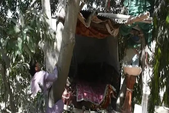 Jara Hatke: Real Life Tarzan Found, Living on a Tree for 8 Years | Jara Hatke: सापडला रियल लाईफमधील टारझन, ८ वर्षांपासून झाडावर जगतोय जीवन, असा थाटला संसार Jara Hatke: Real Life Tarzan Found, Living on a Tree for 8 Years | Jara Hatke: सापडला रियल लाईफमधील टारझन, ८ वर्षांपासून झाडावर जगतोय जीवन, असा थाटला संसार