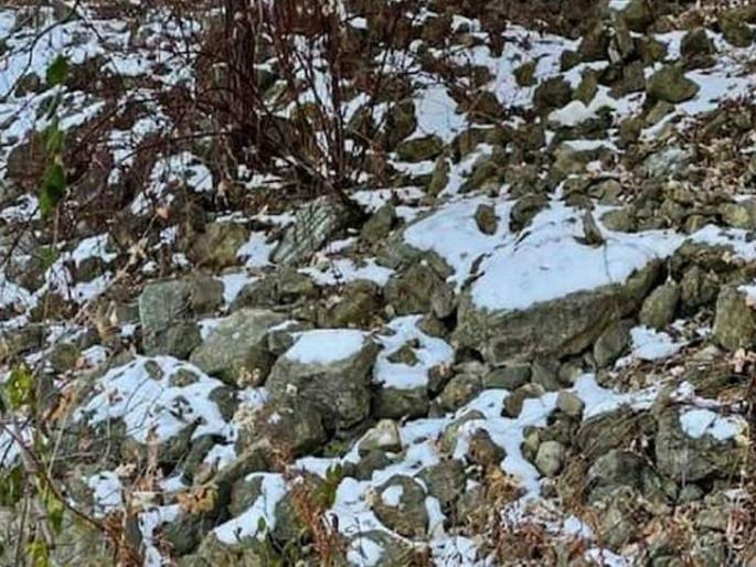 optical illusion hidden in this picture is a little squirrel did you see it | Optical Illusion : चॅलेन्ज! फोटोत लपलीय 'खारूताई', सापडतेय का पाहा?; शोधून दाखवलंत तर मानलं राव तुम्हाला optical illusion hidden in this picture is a little squirrel did you see it | Optical Illusion : चॅलेन्ज! फोटोत लपलीय 'खारूताई', सापडतेय का पाहा?; शोधून दाखवलंत तर मानलं राव तुम्हाला