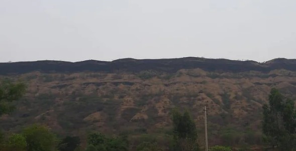 A 13-year-old boy dies after falling off a cliff while trying to save his life from honey bees | मधमाशांच्या हल्यानंतर जीव वाचविताना डोंगरावरील कड्यावरून घसरला पाय अन्१३ वर्षांच्या मुलाचा मृत्यू