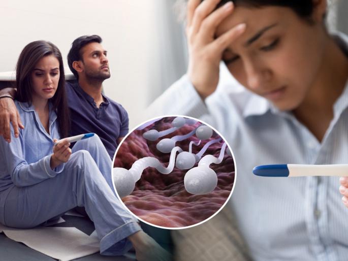Contraception and Preventing Pregnancy : Research is underway on a new drug to prevent pregnancy | Contraception And Preventing Pregnancy : शरीरसंबंधांपूर्वी गोळी घेतली, गर्भधारणेचं टेंशन नाही; शास्त्रज्ञांचा नव्या गर्भनिरोधक औषधाचा दावा