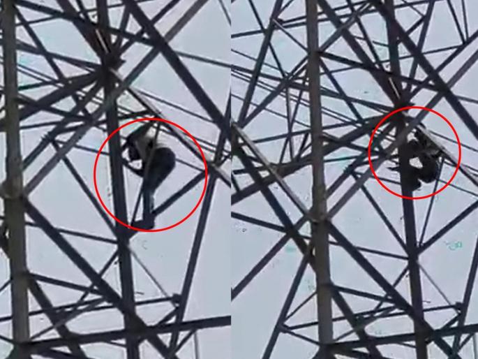 The wife is not coming to law home, so the young man climbed the tower, the type in Pune's Junnar | Video : बायको नांदायला येत नाही, म्हणून चक्क टॉवरवर चढला युवक The wife is not coming to law home, so the young man climbed the tower, the type in Pune's Junnar | Video : बायको नांदायला येत नाही, म्हणून चक्क टॉवरवर चढला युवक