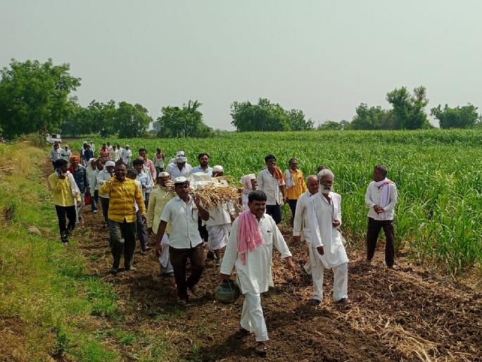 Farmers cry! Symbolic funeral procession of Sugar Commissioner and Regional Director | शेतकऱ्यांचा आक्रोश! साखर आयुक्त व प्रादेशिक संचालकांची उसाच्या फडात प्रतीकात्मक प्रेतयात्रा Farmers cry! Symbolic funeral procession of Sugar Commissioner and Regional Director | शेतकऱ्यांचा आक्रोश! साखर आयुक्त व प्रादेशिक संचालकांची उसाच्या फडात प्रतीकात्मक प्रेतयात्रा