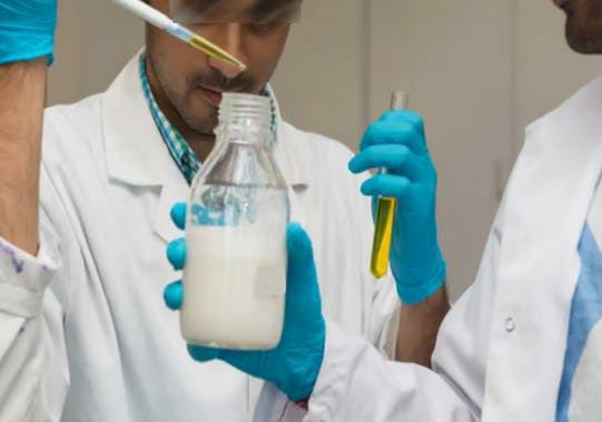 detergent mixed in milk more than fifty samples failed out of 144 in meerut | बापरे! दुधावरची साय झाली गायब अन् सापडलं डिटर्जंट; घरबसल्या 'अशी' ओळखा दुधातील भेसळ detergent mixed in milk more than fifty samples failed out of 144 in meerut | बापरे! दुधावरची साय झाली गायब अन् सापडलं डिटर्जंट; घरबसल्या 'अशी' ओळखा दुधातील भेसळ