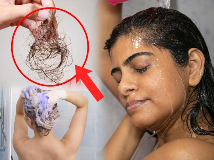 Hair fall Problem: Just add 2 things in your regular shampoo and wash hair, hair will be long and strong  | केस खूप गळत आहेत, नेहमीच्याच शाम्पूमध्ये टाका फक्त २ गोष्टी, केस होतील मजबूत, दाट 