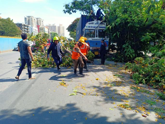 Video: Accident to a container transporting 25 tons of yarn after hitting a tree in thane | Video : झाडाला धडकल्याने २५ टन धाग्याची वाहतूक करणाऱ्या कंटेनरला अपघात Video: Accident to a container transporting 25 tons of yarn after hitting a tree in thane | Video : झाडाला धडकल्याने २५ टन धाग्याची वाहतूक करणाऱ्या कंटेनरला अपघात