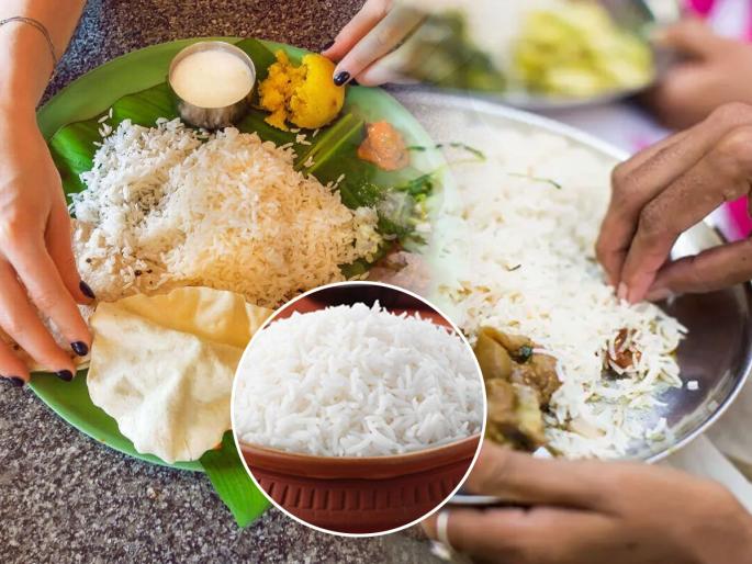Healthiest Way To Cook Rice : According to ayurveda doctor know how to cook rice to get more health benefits | रोज भाताशिवाय जेवणच जात नाही? भात शिजवताना वापरा एक ट्रिक, भरपूर भात खाऊनही राहा फिट