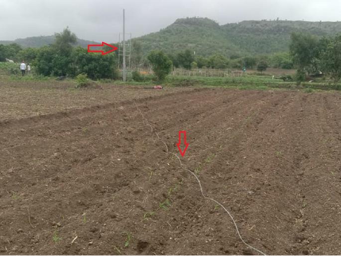 A mountain of sorrow over the village of Nawadi; Four workers die of electric shock while pulling wire for DP | चार कुटुंबांवर काळोख! डीपीसाठी विद्युतवाहिनी जोडताना ४ मजुरांचा विजेच्या धक्क्याने मृत्यू A mountain of sorrow over the village of Nawadi; Four workers die of electric shock while pulling wire for DP | चार कुटुंबांवर काळोख! डीपीसाठी विद्युतवाहिनी जोडताना ४ मजुरांचा विजेच्या धक्क्याने मृत्यू