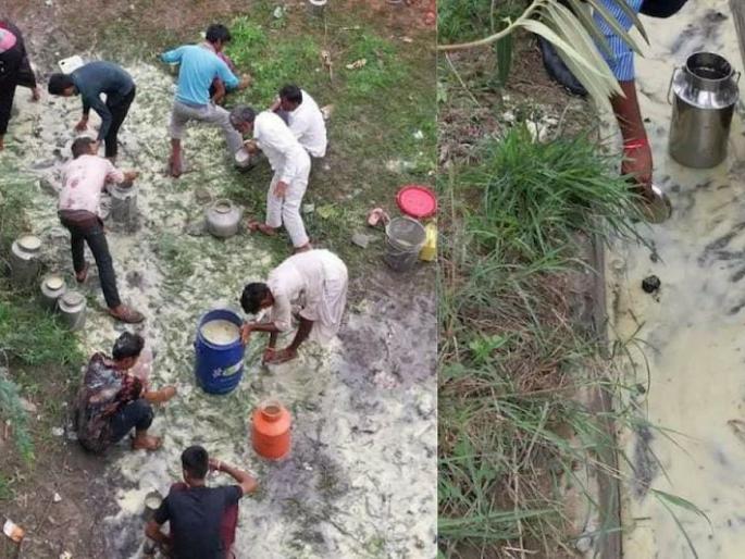 ghee filled tanker overturned in rajasthan people absconding after filling utensils | बाबो! रस्त्यावर वाहू लागली तुपाची नदी; हंडा-कळशी, भांडी घेऊन लोकांची जमा करण्यासाठी झुंबड ghee filled tanker overturned in rajasthan people absconding after filling utensils | बाबो! रस्त्यावर वाहू लागली तुपाची नदी; हंडा-कळशी, भांडी घेऊन लोकांची जमा करण्यासाठी झुंबड