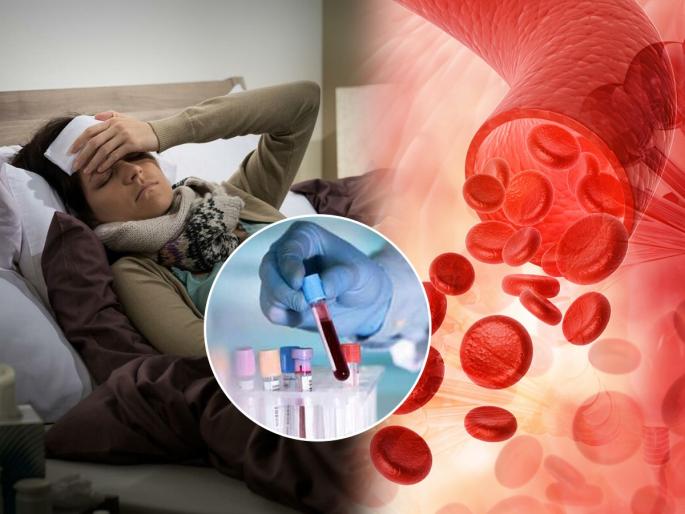 Top Iron Rich Foods : Top 10 iron rich foods to boost hemoglobin | रक्ताच्या कमतरतेनं अशक्तपणा, थकवा येतो? रक्त वाढवतील १० पदार्थ, हाडं राहतील बळकट